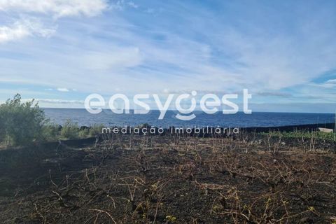 Villa i Sao Mateus, Graciosa, Sao Mateus - € 397.000 | Ref: AZ86313FR - foto 9