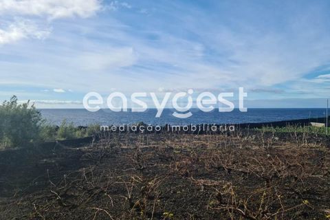 Villa i Sao Mateus, Graciosa, Sao Mateus - € 397.000 | Ref: AZ86313FR - foto 12