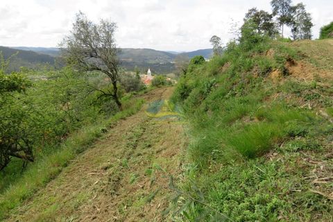Helårsgrund i Miranda do Corvo, Coimbra, Miranda do Corvo - € 45.000 | Ref: ko2272 - foto 2