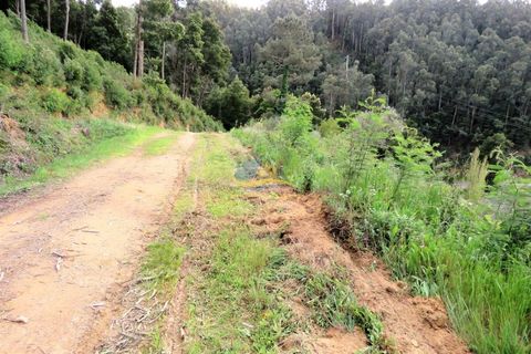 Helårsgrund i Miranda do Corvo, Coimbra, Miranda do Corvo - € 45.000 | Ref: ko2272 - foto 6