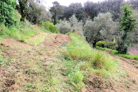 Helårsgrund i Miranda do Corvo, Coimbra, Miranda do Corvo - € 45.000 | Ref: ko2272 - foto 10
