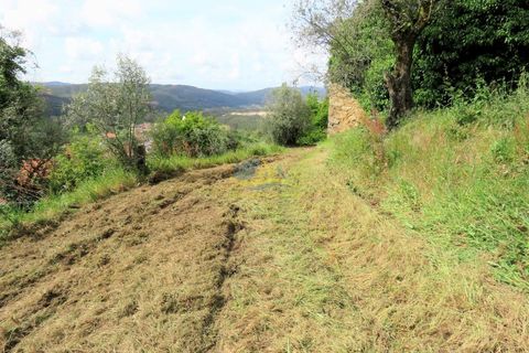Helårsgrund i Miranda do Corvo, Coimbra, Miranda do Corvo - € 45.000 | Ref: ko2272 - foto 14