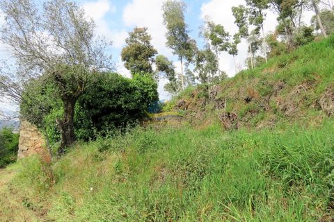 Helårsgrund i Miranda do Corvo, Coimbra, Miranda do Corvo - € 45.000 | Ref: ko2272 - foto 15