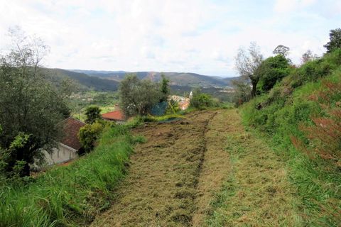 Helårsgrund i Miranda do Corvo, Coimbra, Miranda do Corvo - € 45.000 | Ref: ko2272 - foto 16