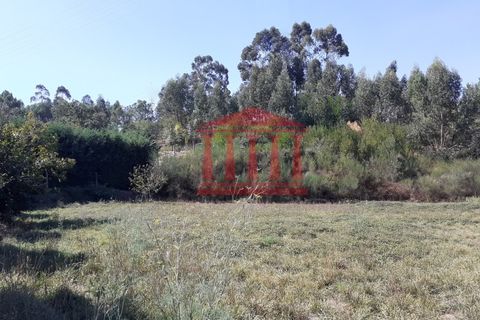 Helårsgrund i Barcelos, Braga, Barcelos - € 42.000 | Ref: 272T00837 - foto 1