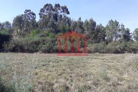 Helårsgrund i Barcelos, Braga, Barcelos - € 42.000 | Ref: 272T00837 - foto 2