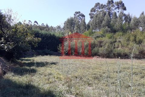 Helårsgrund i Barcelos, Braga, Barcelos - € 42.000 | Ref: 272T00837 - foto 3