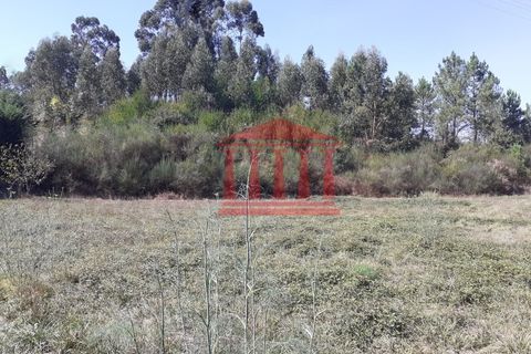 Helårsgrund i Barcelos, Braga, Barcelos - € 42.000 | Ref: 272T00837 - foto 4