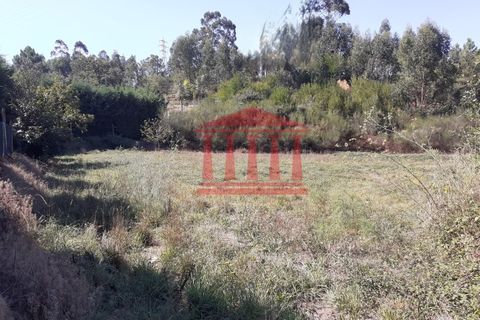 Helårsgrund i Barcelos, Braga, Barcelos - € 42.000 | Ref: 272T00837 - foto 5