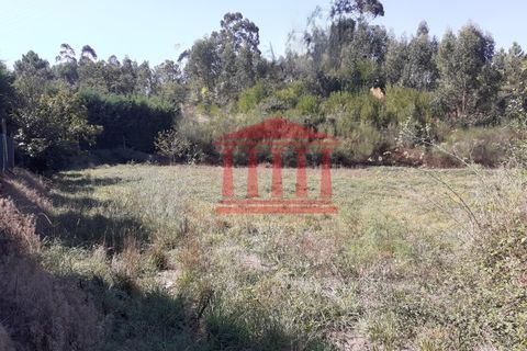 Helårsgrund i Barcelos, Braga, Barcelos - € 42.000 | Ref: 272T00837 - foto 6