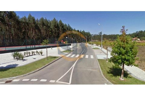 Terra a Branca, Aveiro, Branca - € 47.000 | Ref: T/0149(4) - foto 3