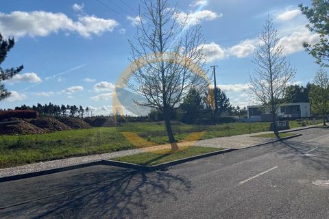 Terra a Branca, Aveiro, Branca - € 47.000 | Ref: T/0149(4) - foto 6