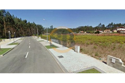 Terra a Branca, Aveiro, Branca - € 47.000 | Ref: T/0149(3) - foto 2