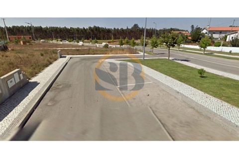 Terra a Branca, Aveiro, Branca - € 47.000 | Ref: T/0149(3) - foto 5