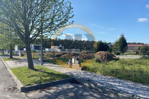 Terra a Branca, Aveiro, Branca - € 47.000 | Ref: T/0149(3) - foto 7