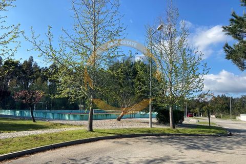 Terra a Branca, Aveiro, Branca - € 47.000 | Ref: T/0149(3) - foto 8