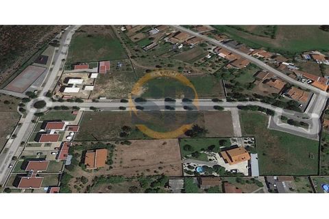 Terra a Branca, Aveiro, Branca - € 43.000 | Ref: T/0149(2) - foto 3