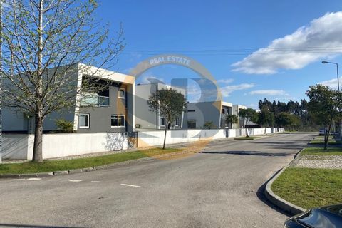 Terra a Branca, Aveiro, Branca - € 43.000 | Ref: T/0149(2) - foto 9