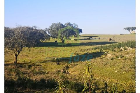 Landejendom i Alandroal, Evora, Alandroal - € 790.000 | Ref: 0910 - foto 4