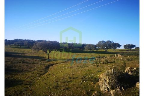 Landejendom i Alandroal, Evora, Alandroal - € 790.000 | Ref: 0910 - foto 3