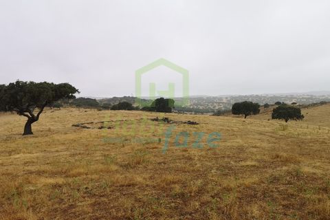 Landejendom i Alandroal, Evora, Alandroal - € 790.000 | Ref: 0910 - foto 2