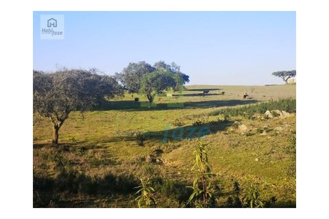 Landejendom i Alandroal, Evora, Alandroal - € 790.000 | Ref: 0910 - foto 11