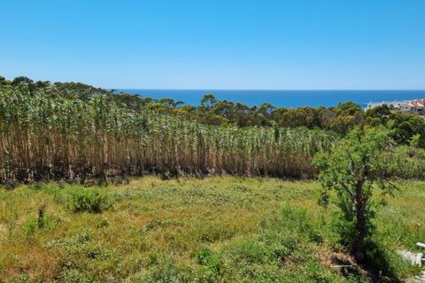 Helårsgrund i Mafra, Lisbon, Mafra - € 235.000 | Ref: BL739 - foto 1
