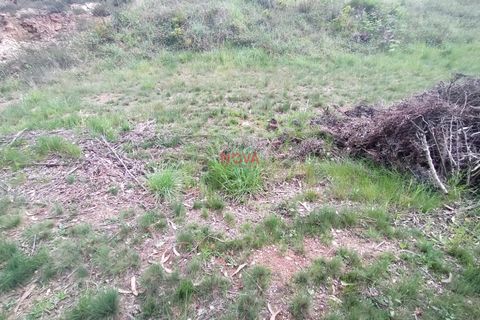 Helårsgrund i Paredes, Porto, Paredes - € 127.500 | Ref: NOVA-ER-1281 - foto 4