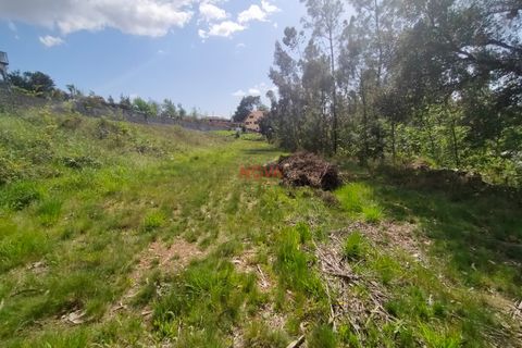 Helårsgrund i Paredes, Porto, Paredes - € 127.500 | Ref: NOVA-ER-1281 - foto 6