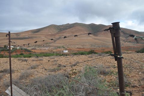 Landejendom i Pajara, Fuerteventura, Pajara - € 300.000 | Ref: #SMVPTCCMARE3-0422 - foto 7