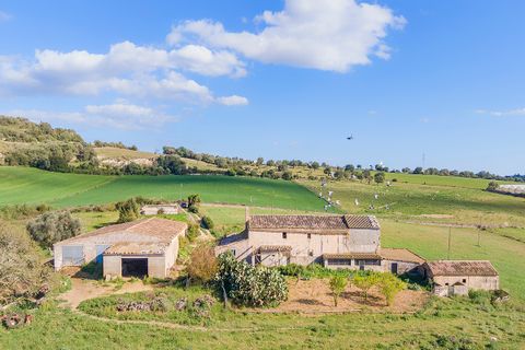 Cortijo i Manacor, Mallorca, Manacor - € 1.495.000 | Ref: MAN52785RM - foto 4