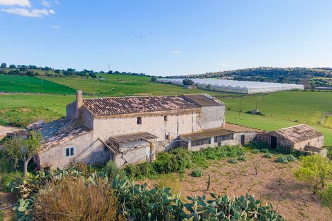 Cortijo i Manacor, Mallorca, Manacor - € 1.495.000 | Ref: MAN52785RM - foto 12