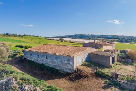 Cortijo i Manacor, Mallorca, Manacor - € 1.495.000 | Ref: MAN52785RM - foto 13