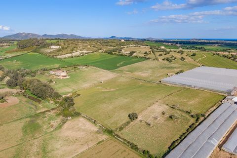 Cortijo i Manacor, Mallorca, Manacor - € 1.495.000 | Ref: MAN52785RM - foto 14