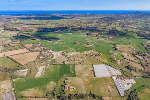 Cortijo i Manacor, Mallorca, Manacor - € 1.495.000 | Ref: MAN52785RM - foto 15