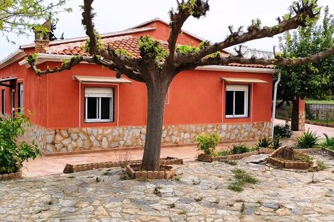 Landejendom i Ontinyent, Valencia, Ontinyent - € 300.000 | Ref: 2842 - foto 22
