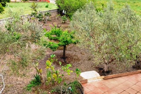 Landejendom i Ontinyent, Valencia, Ontinyent - € 300.000 | Ref: 2842 - foto 41