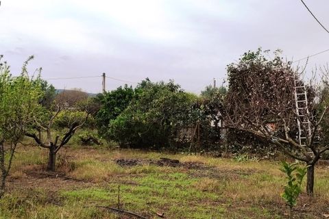 Landejendom i Ontinyent, Valencia, Ontinyent - € 300.000 | Ref: 2842 - foto 43