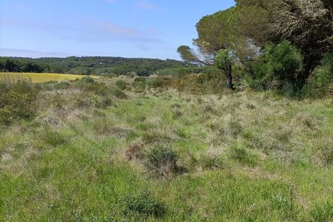 Helårsgrund i Sintra, Lisbon, Sintra - € 83.000 | Ref: 010561029 - foto 3