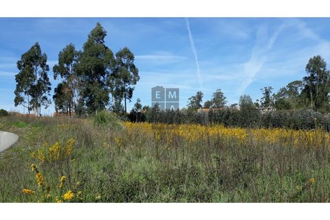Helårsgrund i Eixo e Eirol, Aveiro, Eixo e Eirol - € 175.000 | Ref: OAZ2953 - foto 2