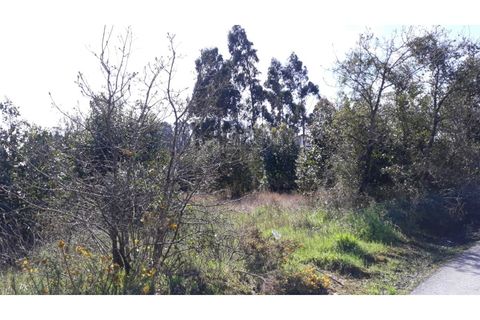 Helårsgrund i Eixo e Eirol, Aveiro, Eixo e Eirol - € 175.000 | Ref: OAZ2953 - foto 4