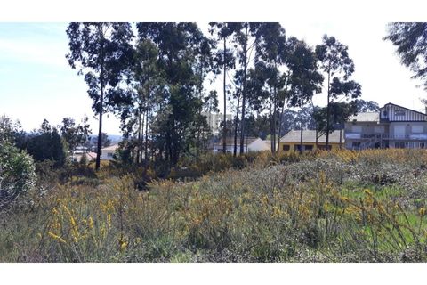 Helårsgrund i Eixo e Eirol, Aveiro, Eixo e Eirol - € 175.000 | Ref: OAZ2953 - foto 7