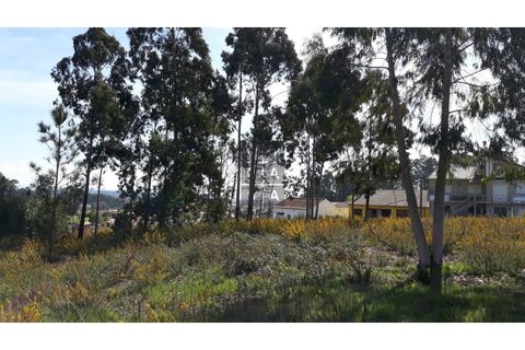 Helårsgrund i Eixo e Eirol, Aveiro, Eixo e Eirol - € 175.000 | Ref: OAZ2953 - foto 8