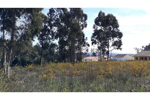 Helårsgrund i Eixo e Eirol, Aveiro, Eixo e Eirol - € 175.000 | Ref: OAZ2953 - foto 9