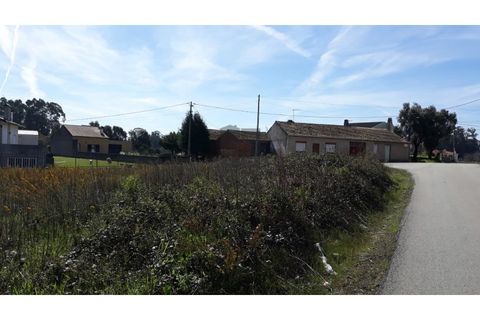 Helårsgrund i Eixo e Eirol, Aveiro, Eixo e Eirol - € 175.000 | Ref: OAZ2953 - foto 10