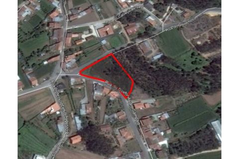Helårsgrund i Eixo e Eirol, Aveiro, Eixo e Eirol - € 175.000 | Ref: OAZ2953 - foto 13