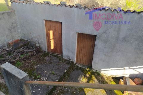Villa i Tarouca, Viseu, Tarouca - € 63.500 | Ref: JF116/0322 - foto 32