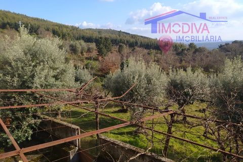 Villa i Tarouca, Viseu, Tarouca - € 63.500 | Ref: JF116/0322 - foto 3