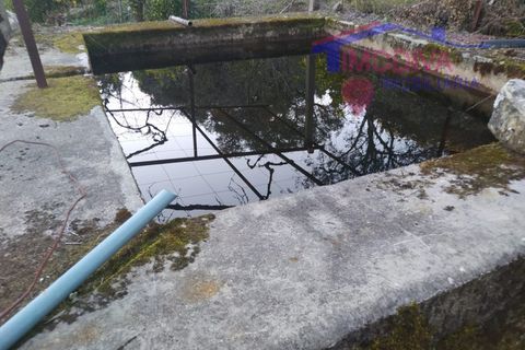 Villa a Tarouca, Viseu, Tarouca - € 80.000 | Ref: JF89/0122 - foto 29