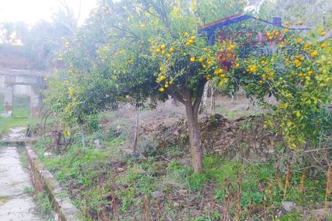 Villa a Tarouca, Viseu, Tarouca - € 80.000 | Ref: JF89/0122 - foto 28